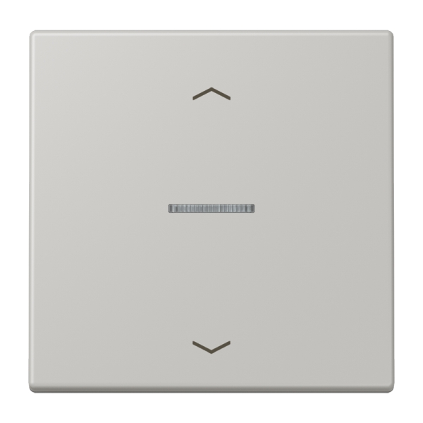 Jung BTLC17101P205 JUNG HOME Taster 1-fach mit Pfeilsymbolen Serie LS gris clair 31