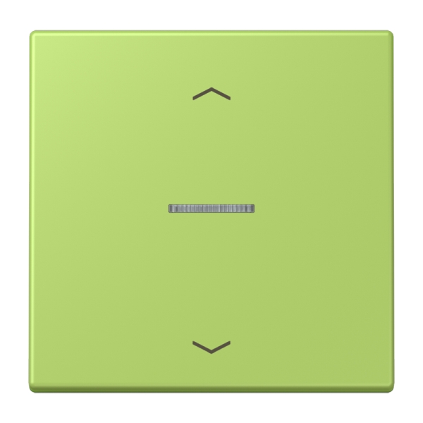 Jung BTLC17101P221 JUNG HOME Taster 1-fach mit Pfeilsymbolen Serie LS vert clair