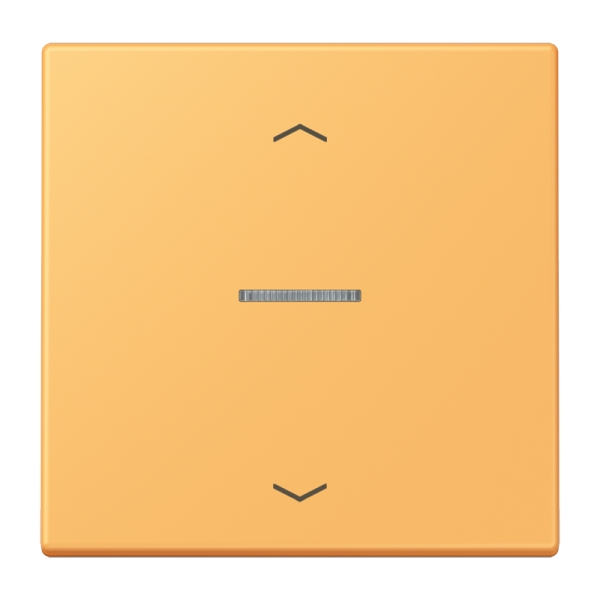 Jung BTLC17101P254 JUNG HOME Taster 1-fach mit Pfeilsymbolen Serie LS ocre jaune clair