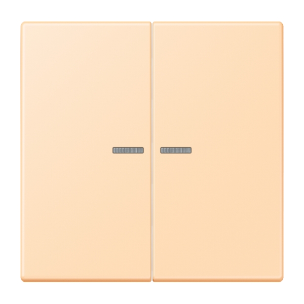 Jung BTLC17102223 JUNG HOME Taster 2-fach Serie LS ocre