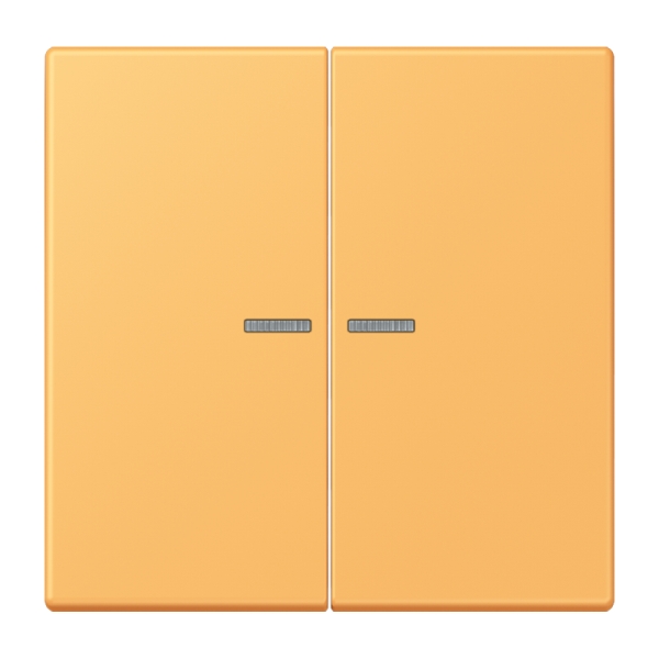 Jung BTLC17102254 JUNG HOME Taster 2-fach Serie LS ocre jaune clair