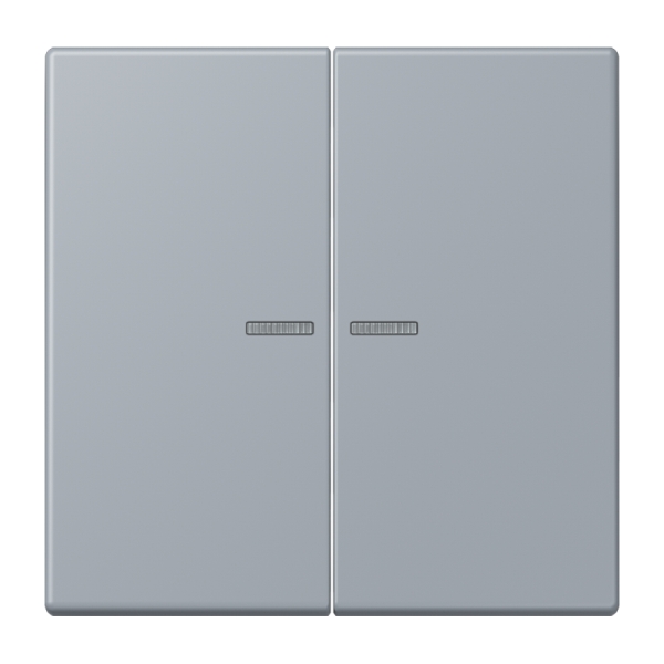 Jung BTLC17102257 JUNG HOME Taster 2-fach Serie LS gris clair 59