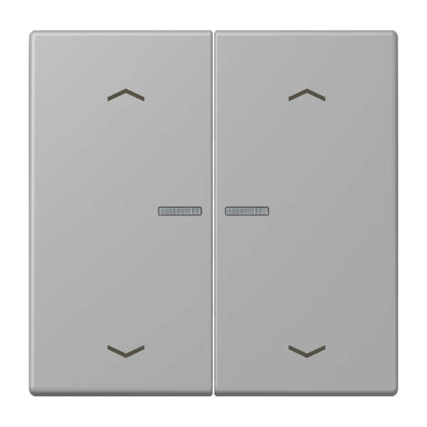 Jung BTLC17102P204 JUNG HOME Taster 2-fach mit Pfeilsymbolen Serie LS gris moyen