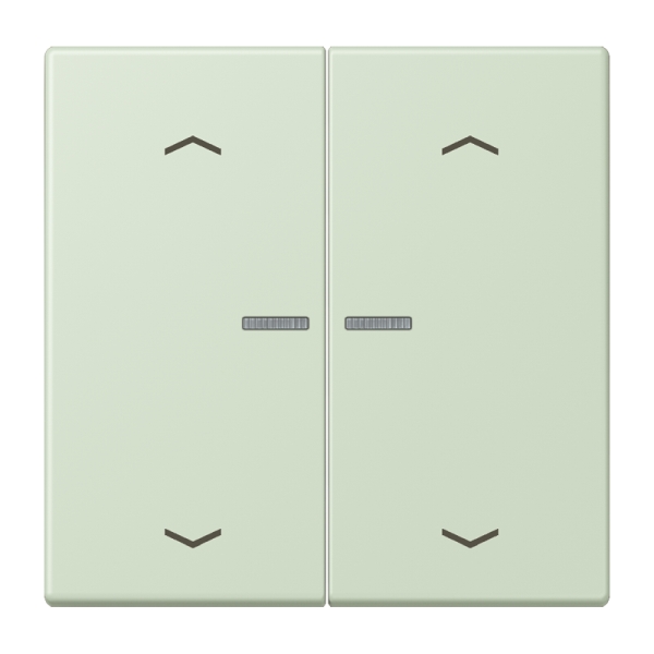 Jung BTLC17102P218 JUNG HOME Taster 2-fach mit Pfeilsymbolen Serie LS vert anglâis pale