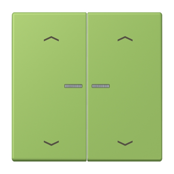 Jung BTLC17102P220 JUNG HOME Taster 2-fach mit Pfeilsymbolen Serie LS vert 31