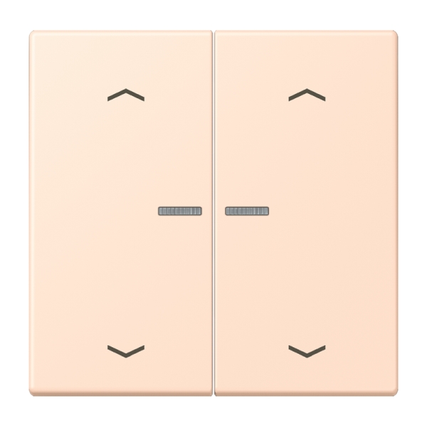 Jung BTLC17102P228 JUNG HOME Taster 2-fach mit Pfeilsymbolen Serie LS rose pâle