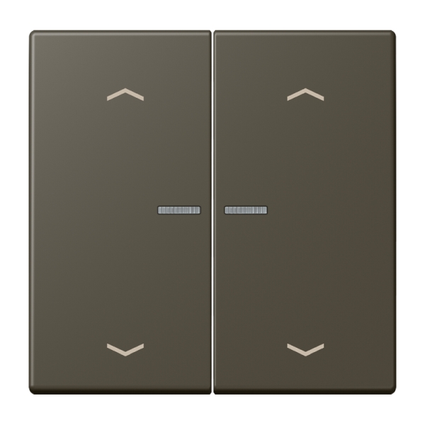 Jung BTLC17102P241 JUNG HOME Taster 2-fach mit Pfeilsymbolen Serie LS ombre naturelle 31