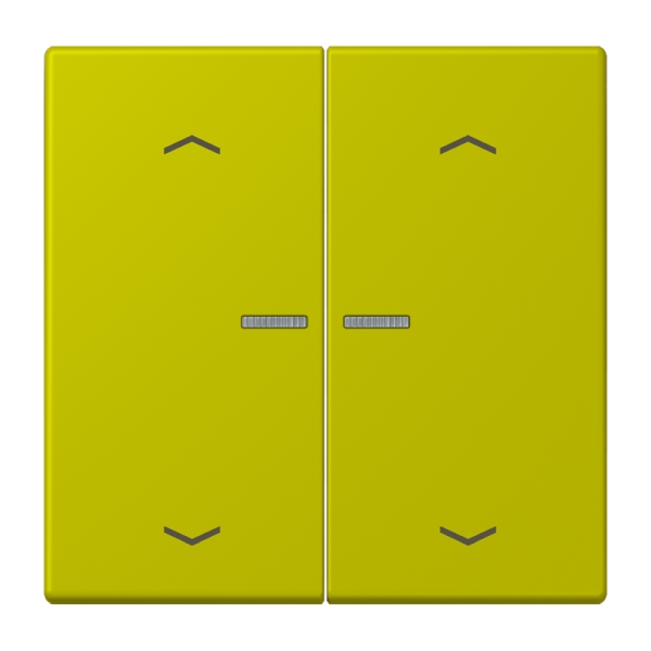 Jung BTLC17102P249 JUNG HOME Taster 2-fach mit Pfeilsymbolen Serie LS vert olive vif