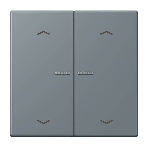 Jung BTLC17102P251 JUNG HOME Taster 2-fach mit Pfeilsymbolen Serie LS gris 59