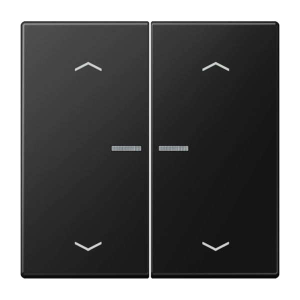 Jung BTLS17102PSWM JUNG HOME Taster 2-fach mit Pfeilsymbolen Serie LS graphitschwarz matt