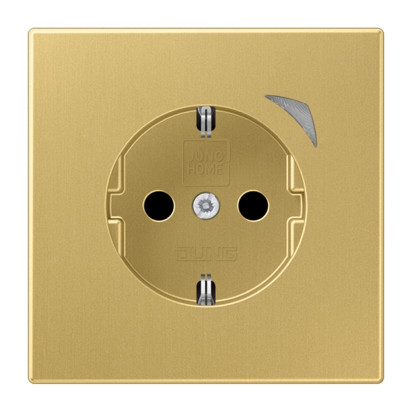 Jung BTME1521SC-L SCHUKO Steckdose 16A 250V Schraubklemmen mit Funktionsanzeige integrierter erhöhter Berührungsschutz SAFETY+ Thermoplast lackiert Serie LS,