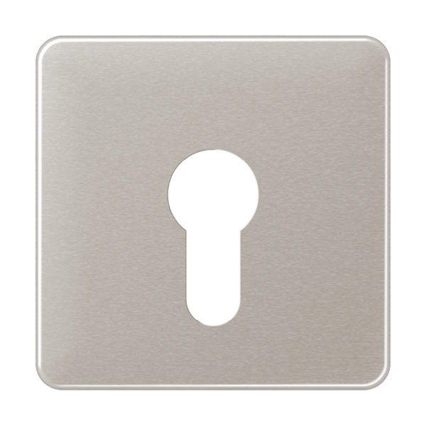 Jung CD525PT Abdeckung für Schlüsselschalter ohne Demontageschutz Aluminium eloxiert Serie CD platin