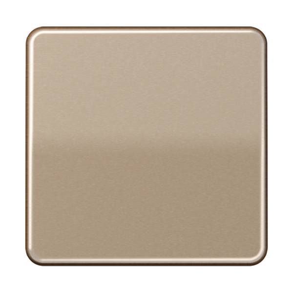 Jung CD590GB Wippe 1-fach Aluminium eloxiert Serie CD gold-bronze