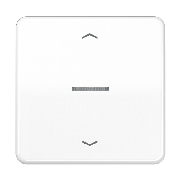 Jung CD590KO5PWW Wippe 1-fach mit Lichtleiter mit Pfeilsymbolen Duroplast Serie CD alpinweiß