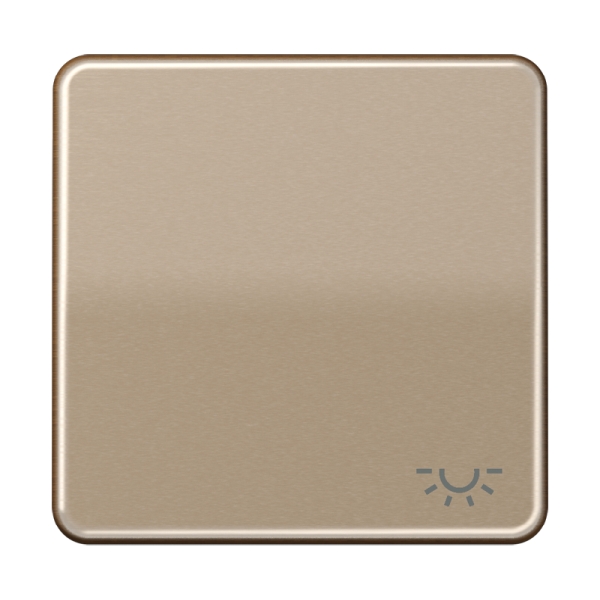 Jung CD590LGB Wippe 1-fach Symbol Licht Aluminium eloxiert Serie CD gold-bronze