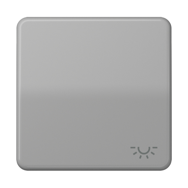 Jung CD590LGR Wippe 1-fach Symbol Licht Duroplast Serie CD grau