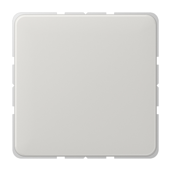 Jung CD594-0LG Blind-Abdeckung (gerastet) Thermoplast Serie CD lichtgrau