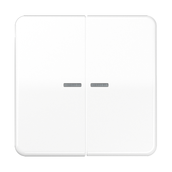 Jung CD595KO5BFWW Wippe 2-fach mit Lichtleiter Thermoplast Serie CD alpinweiß