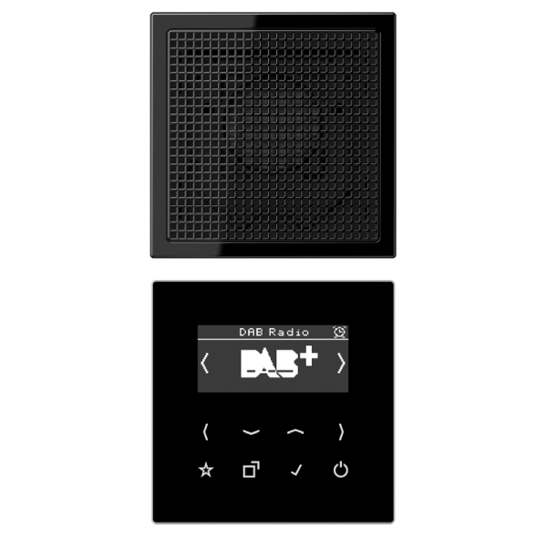 Jung DABLS1SW Smart Radio DAB+ Set Mono Serie LS schwarz