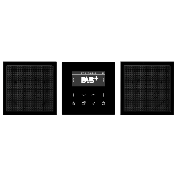 Jung DABLS2SW Smart Radio DAB+ Set Stereo Serie LS schwarz