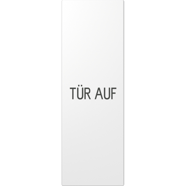 Jung ES2993DWW Großflächenwippe (70x212,4mm) Text Tür auf senkrecht Serie LS alpinweiß (lackierter Edelstahl)