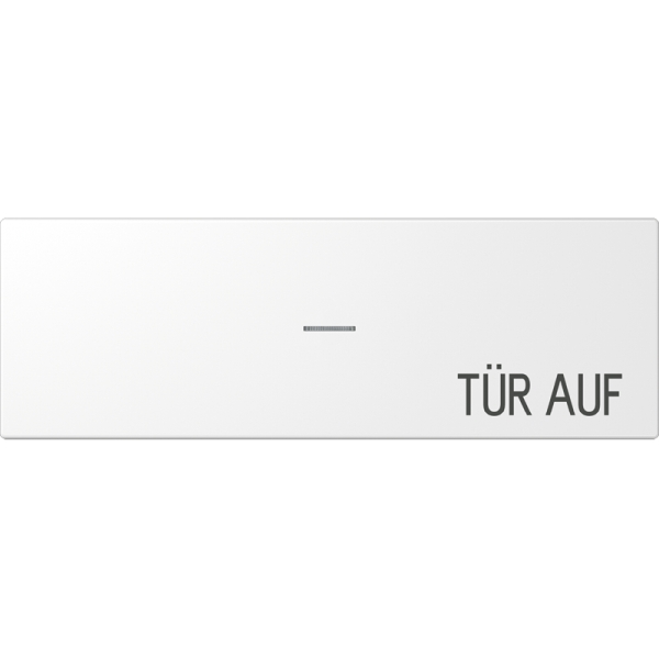 Jung ES2993KO5DHWW Großflächenwippe (70x212,4mm) mit Lichtleiter Text Tür auf waagerecht Serie LS alpinweiß (lackierter Edelstahl)