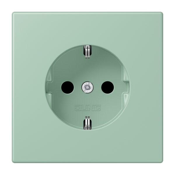 Jung LC1521217 SCHUKO Steckdose 16A 250V Schraubklemmen Serie LS vert anglais clair