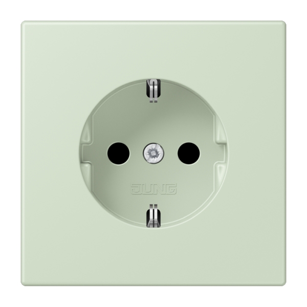 Jung LC1521218 SCHUKO Steckdose 16A 250V Schraubklemmen Serie LS vert anglâis pale