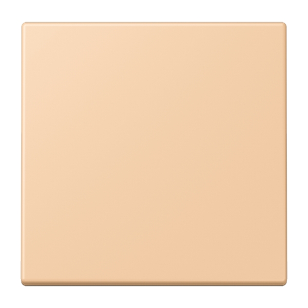 Jung LC990237 Wippe 1-fach Serie LS terre sienne claire 31