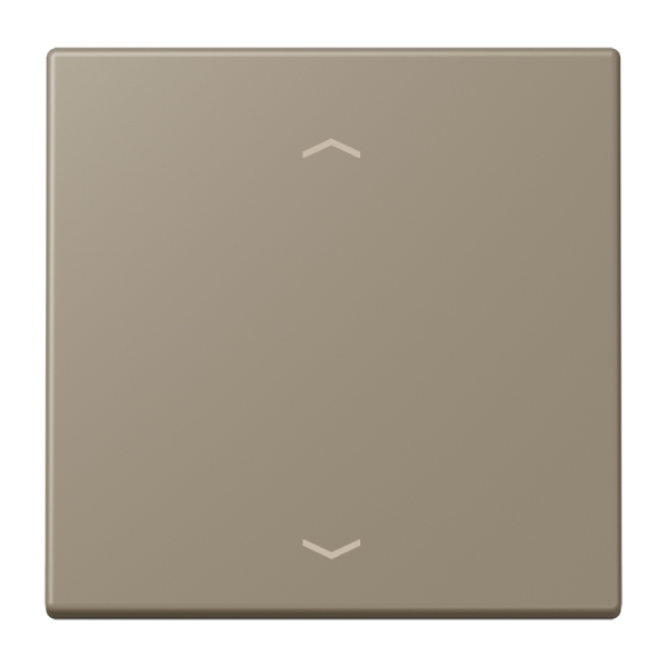 Jung LC990P242 Wippe 1-fach mit Pfeilsymbolen Serie LS ombre naturelle moyenne