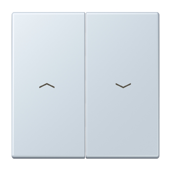Jung LC995P209 Wippe 2-fach mit Pfeilsymbolen Serie LS outremer pale