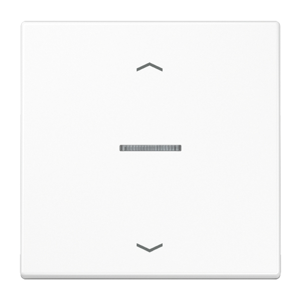 Jung LS990KO5PWW Wippe 1-fach mit Lichtleiter mit Pfeilsymbolen Duroplast Serie LS alpinweiß