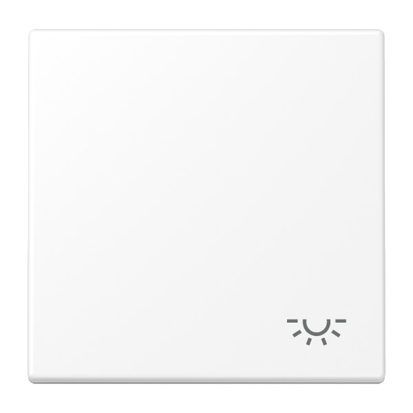 Jung LS990LWWM Wippe 1-fach Symbol Licht Serie LS schneeweiß matt