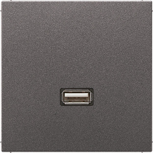 Jung MAAL1122AN Multimedia-Anschlusssystem USB 2.0 Serie LS anthrazit (lackiertes Aluminium)