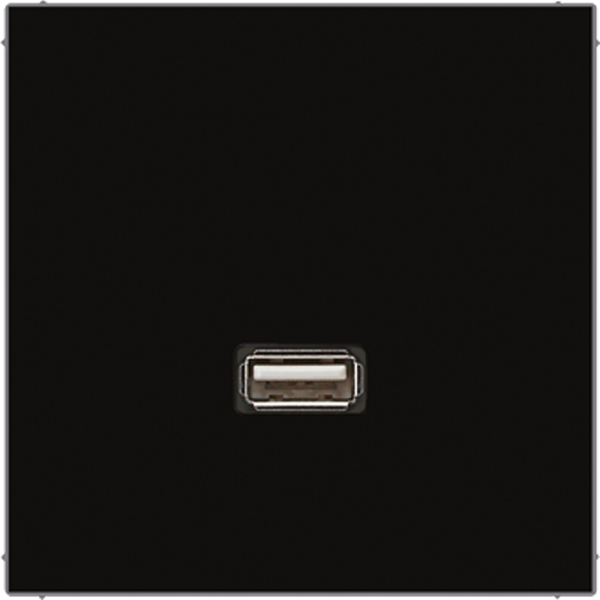 Jung MALS1122SW Multimedia-Anschlusssystem USB 2.0 Serie LS schwarz