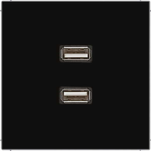 Jung MALS1153SW Multimedia-Anschlusssystem 2xUSB 2.0 Serie LS schwarz