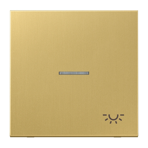 Jung ME2990KO5LC Wippe 1-fach mit Lichtleiter Symbol Licht Messing Serie LS Messing classic