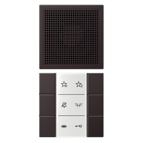 Jung SIAIAL6D Audio-Innenstation Serie LS dark (lackiertes Aluminium)