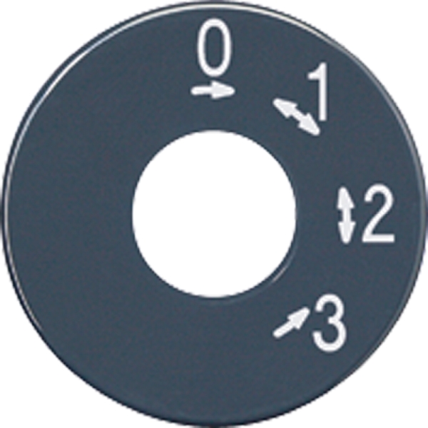 Jung SKS1101-4 Skalenscheibe Symbol 3-Stufen-Schalter anthrazit