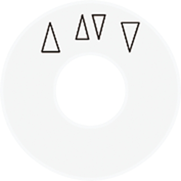 Jung SKS1234.10WW Skalenscheibe mit Pfeilsymbolen alpinweiß