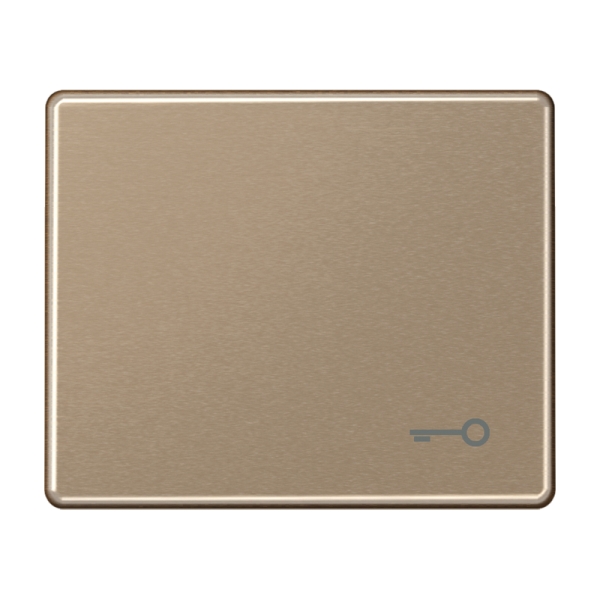 Jung SL590TGB Wippe Symbol Tür Aluminium lackiert Serie SL gold-bronze