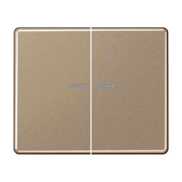 Jung SL595KO5GB Wippe 2-fach mit Lichtleiter Aluminium lackiert Serie SL gold-bronze