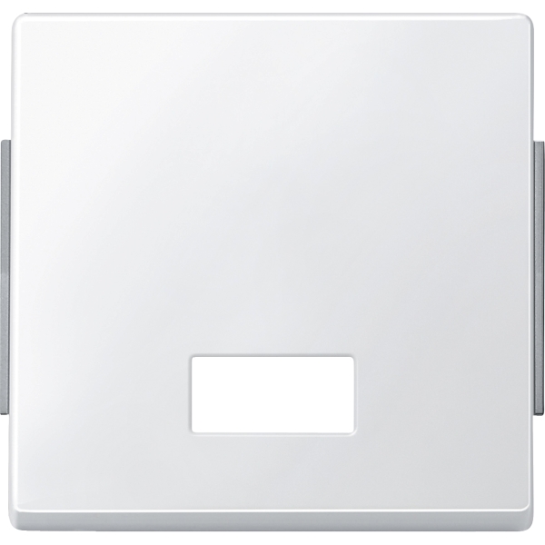 Merten 343819 Wippe mit rechteckigem Symbolfenster polarweiß AQUADESIGN