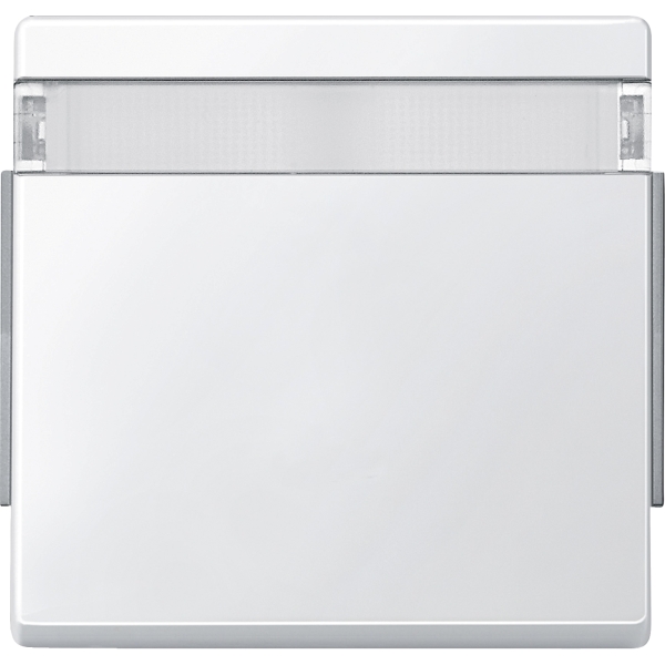 Merten 343919 Wippe mit Schriftfeld polarweiß AQUADESIGN