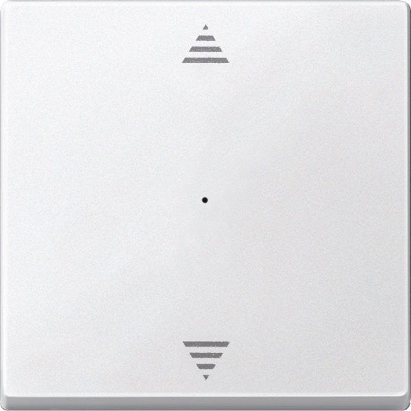 Merten 625519 Wippe für Tastermodul 1-fach mit Aufdruck Pfeile Auf/Ab polarweiß System M