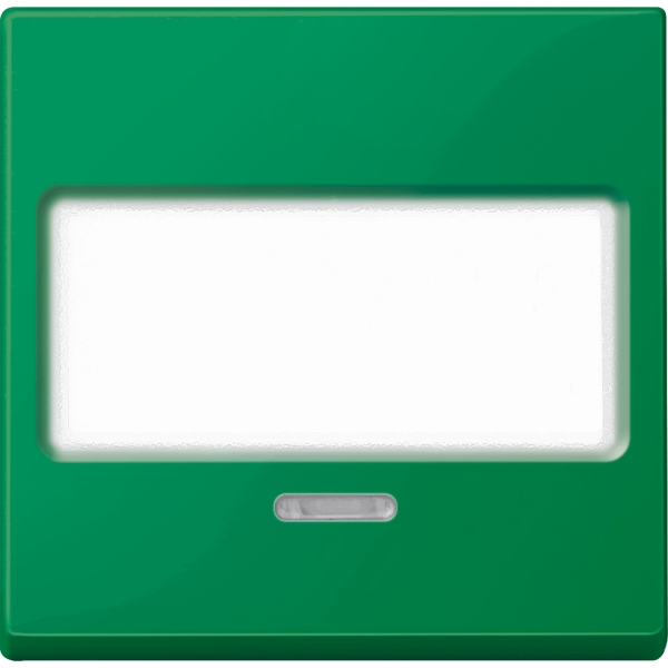 Merten MEG3370-0304 Wippe mit Schriftfeld und Kontrollfenster grün System M