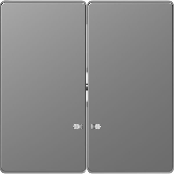 Merten MEG3420-6036 Doppelwippe mit Kontrollfenster Edelstahl System Design