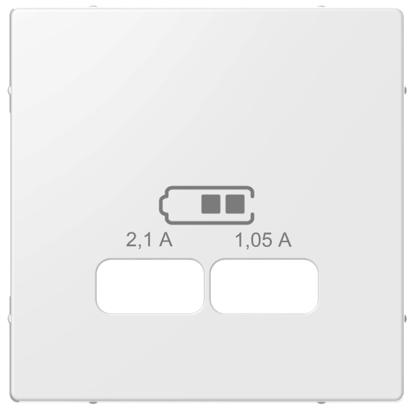 Merten MEG4367-0319 Zentralplatte für USB Ladestation-Einsatz polarweiß glänzend System M