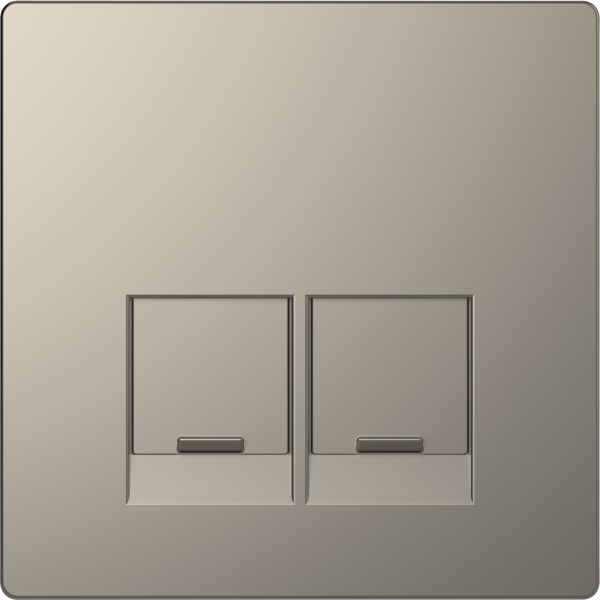 Merten MEG4572-6050 Zentralplatte für Schneider Electric-Connector 2-fach Nickelmetallic System Design