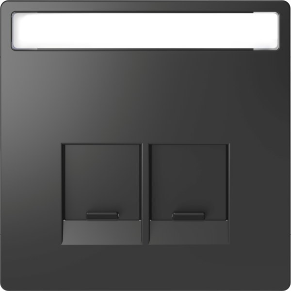 Merten MEG4574-6034 Zentralplatte für Schneider Electric-Connector 2-fach Anthrazit System Design